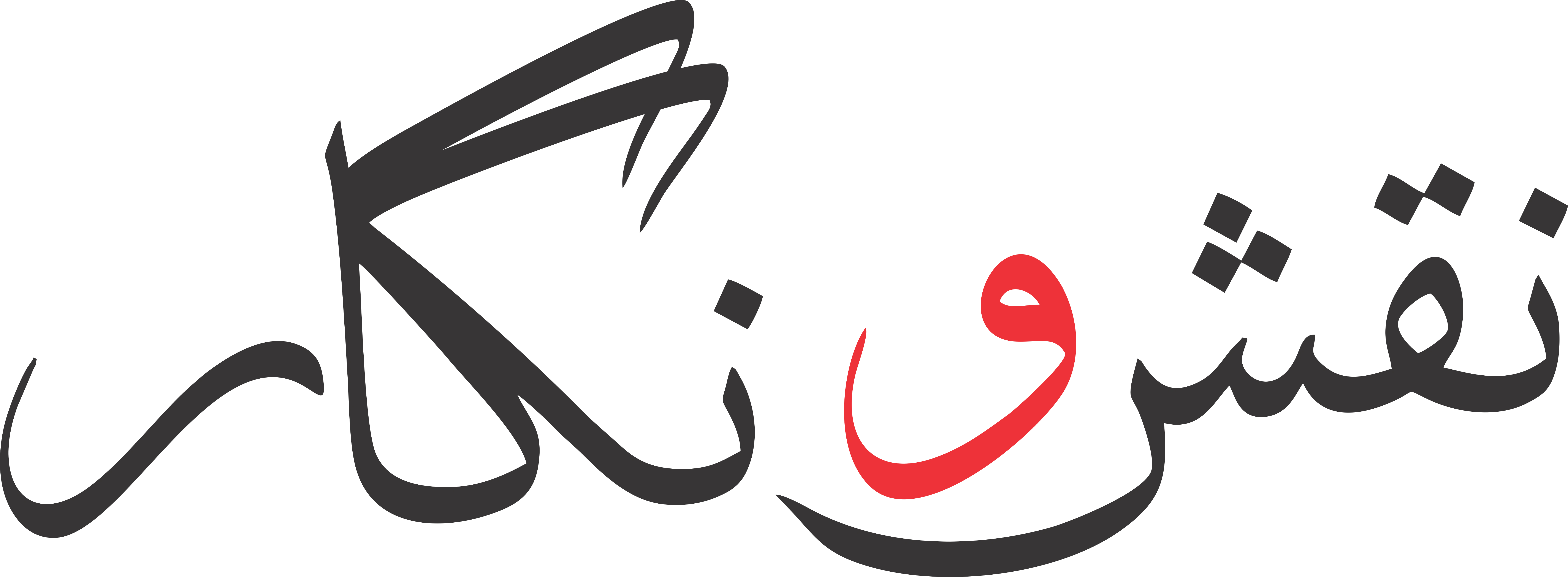 NAQSH O NIGAAR